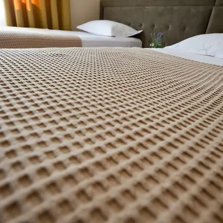 Hotel Niku 3*