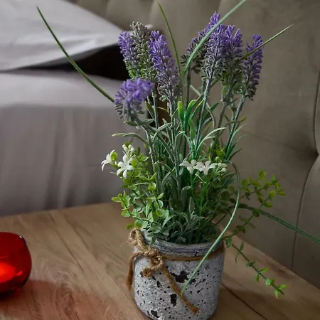 Ξενοδοχείο Niku