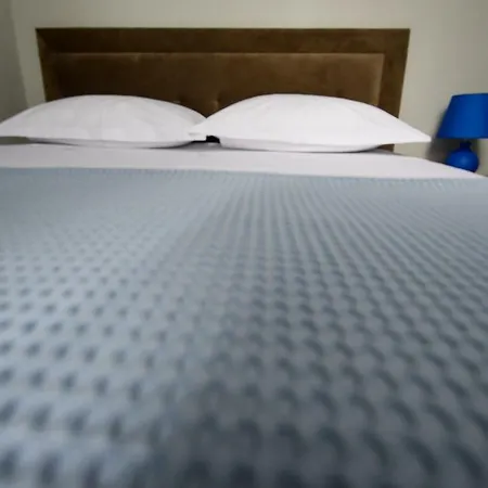 Hotel Niku 3*