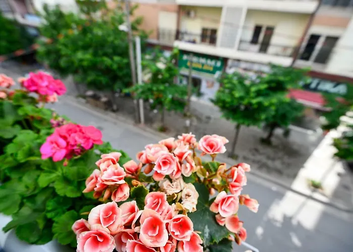 Niku 3* تيرانا