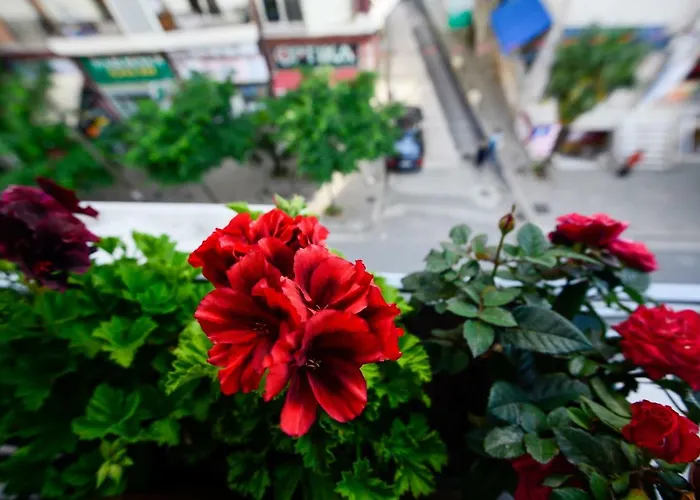 Szálloda Niku Tirana